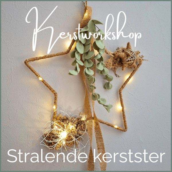 Kerstworkshop Stralende kerstster Kerstworkshop Stralende kerstster